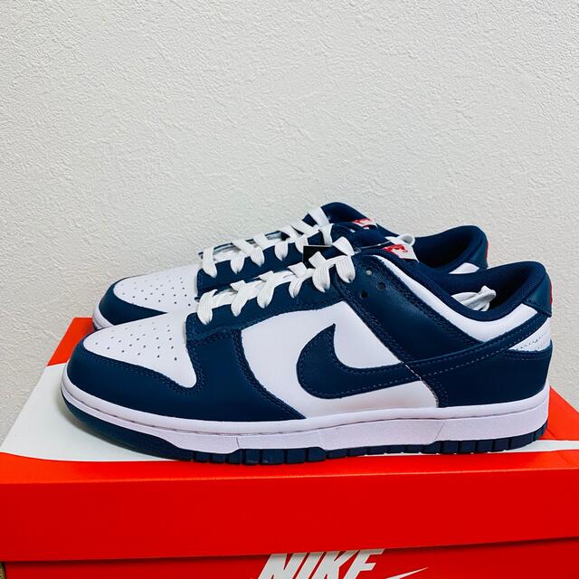 Nike Dunk Low "Valerian Blue" 26cm