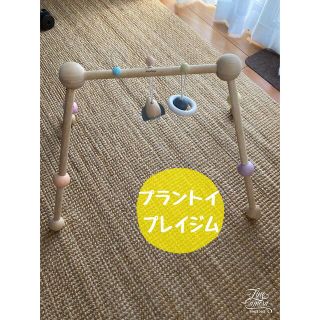 プラントイ(PLANTOYS)のプラントイ　プレイジム(知育玩具)