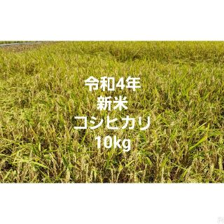 令和4年 新米 コシヒカリ 玄米 10kg(米/穀物)