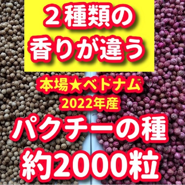 パクチー種・各種10g【合計約2000粒】★違いを楽しむ・本場ベトナム産 食品/飲料/酒の食品(野菜)の商品写真