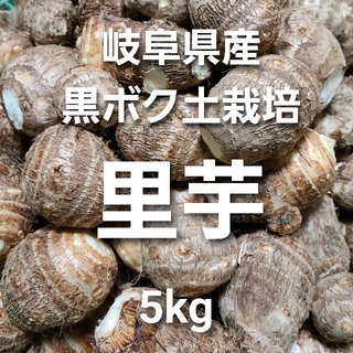 03 岐阜県産 無農薬 ねっとり 里芋 5kg 堀り立て発送！(野菜)