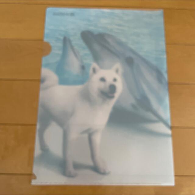 Softbank(ソフトバンク)のお父さん犬 クリアファイル ソフトバンク エンタメ/ホビーのコレクション(ノベルティグッズ)の商品写真