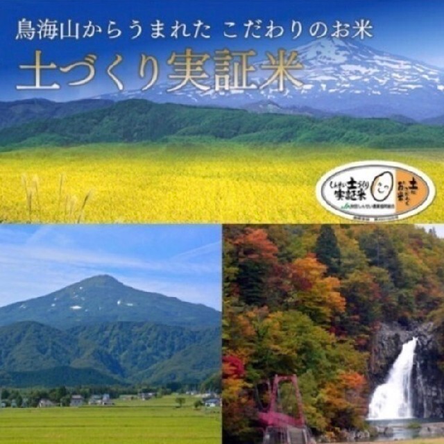 新米！ブランド米 秋田県産 あきたこまち 30㌔食品