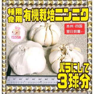 種ニンニク　有機栽培　ホワイト種　食用兼用　3球をバラシてネコポス　にんにくひめ(野菜)