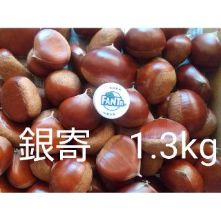 生栗　銀寄　1.3kg(フルーツ)