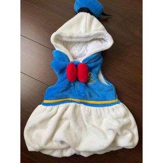 ⭐︎Disney⭐︎ドナルドダック　衣装　コスプレ　ハロウィン(衣装一式)