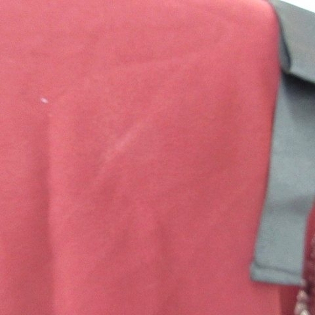 tocco(トッコ)のトッコ クミキョク ブラウス ワンピース 2枚セット 半袖 ノースリーブ 赤 2 レディースのトップス(シャツ/ブラウス(半袖/袖なし))の商品写真