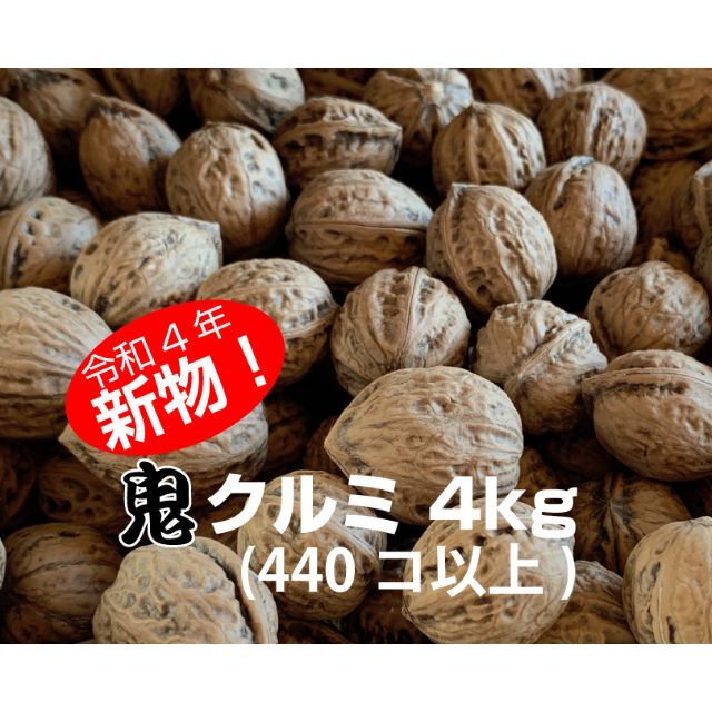 和胡桃(鬼くるみ)【令和4年の新物】正味4kg(440コ以上)<即購入可> 食品/飲料/酒の食品(野菜)の商品写真