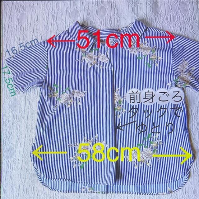 ブラウス*Lサイズ レディースのトップス(シャツ/ブラウス(半袖/袖なし))の商品写真