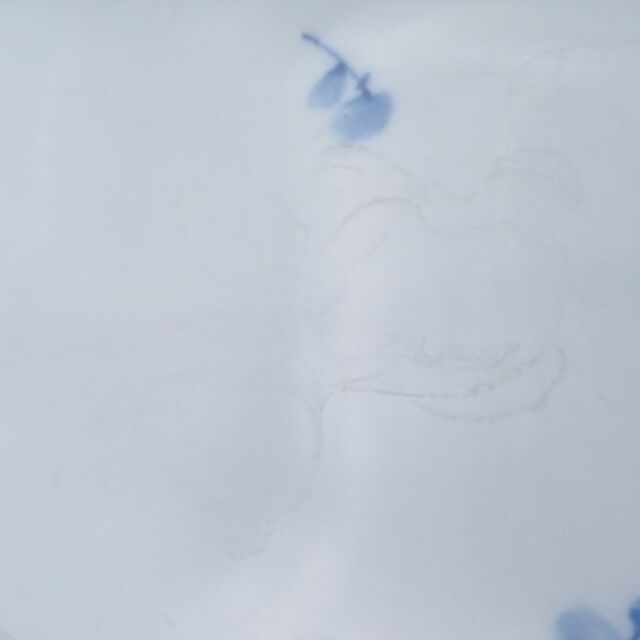 MEISSEN(マイセン)のマイセン 青い花 ディッシュ 1枚 25cmプレート トレイ SC5441C インテリア/住まい/日用品のキッチン/食器(食器)の商品写真