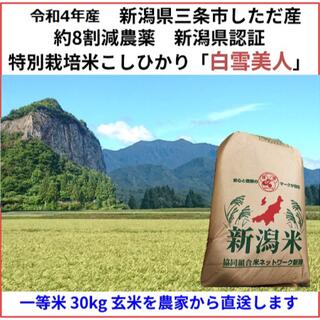4年新米　新潟県三条市しただ産　減農薬特別栽培米コシヒカリ玄米30kg 白雪美人