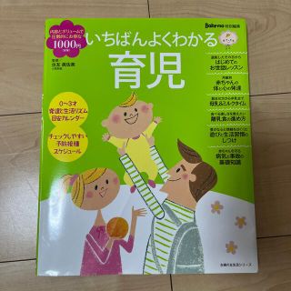 いちばんよくわかる育児(結婚/出産/子育て)