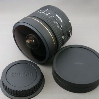 シグマ(SIGMA)のシグマ　キヤノンEF用8mmF3.5EX DG FISHEYE(レンズ(単焦点))