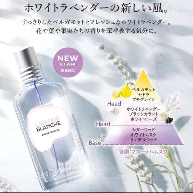 L'OCCITANE(ロクシタン)のロクシタン　ホワイトラベンダー　オードトワレ コスメ/美容の香水(香水(女性用))の商品写真