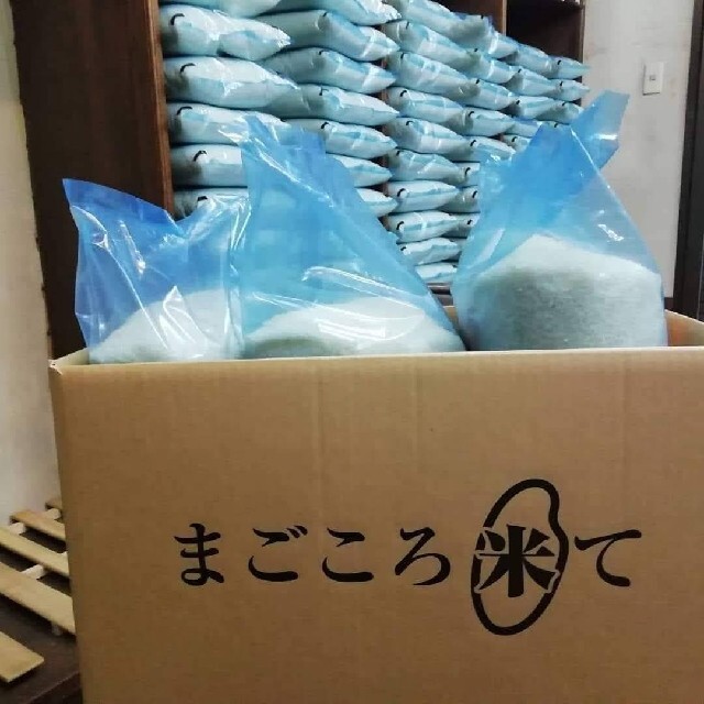 お米 [ 銀河のしずく 20kg ]新米 /5kg×4/ジップロック付/白米 食品/飲料/酒の食品(米/穀物)の商品写真