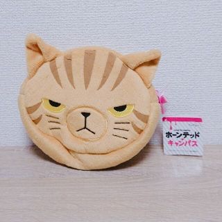 カドカワショテン(角川書店)のホーンテッド キャンパス ぬいぐるみ ねこ ポーチ ブラウン!!(キャラクターグッズ)