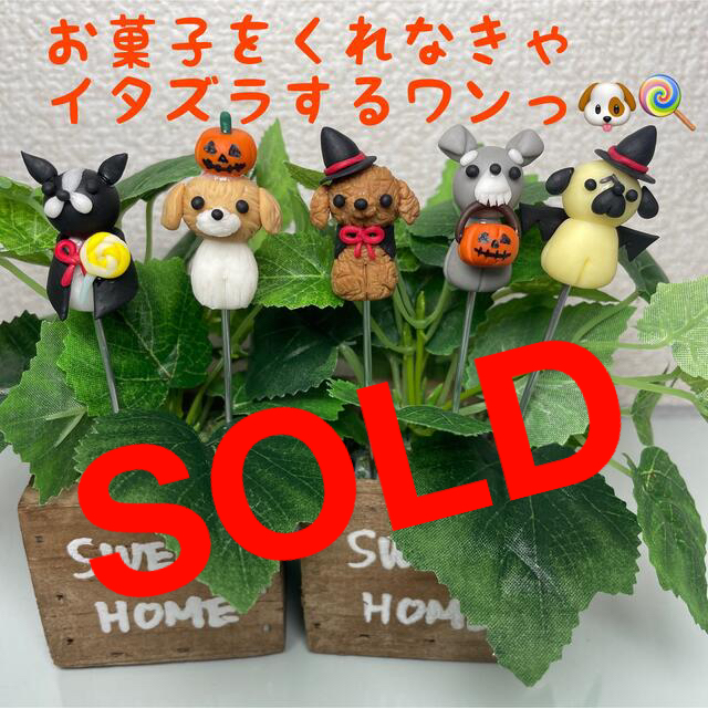 ハンドメイド　ガーデンピック　ハロウィンの仮装だワンピック　多肉植物