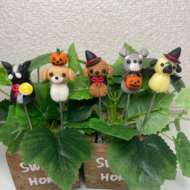 ハンドメイド　ガーデンピック　ハロウィンの仮装だワンピック　多肉植物 ハンドメイドのフラワー/ガーデン(その他)の商品写真