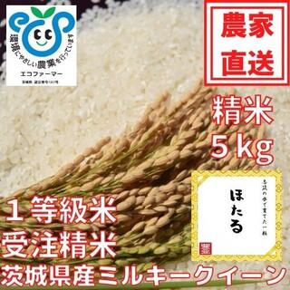 令和4年産茨城県産ミルキークイーン　　ほたる5kg(米/穀物)
