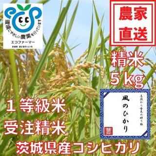 令和4年産茨城県産コシヒカリ　風のひかり5kg(米/穀物)