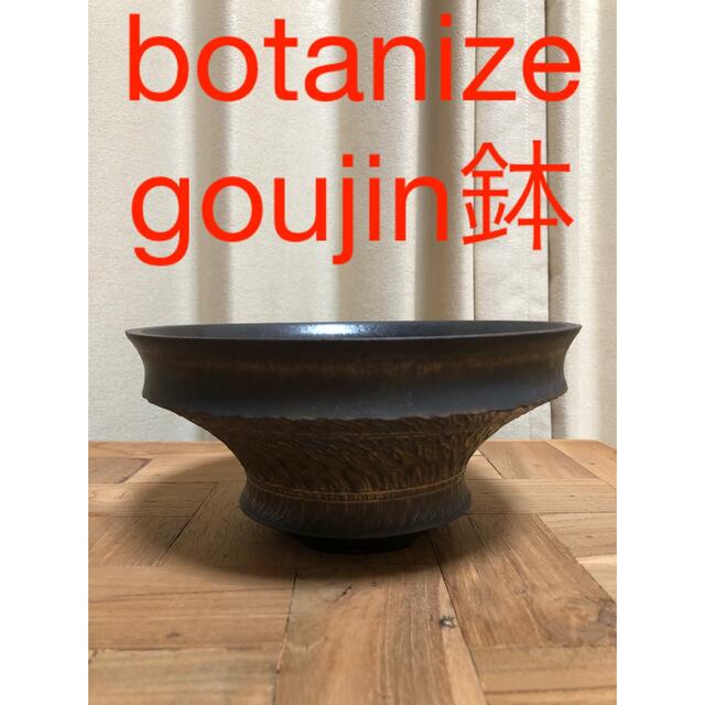 botanize goujin コラボ鉢豪人鉢