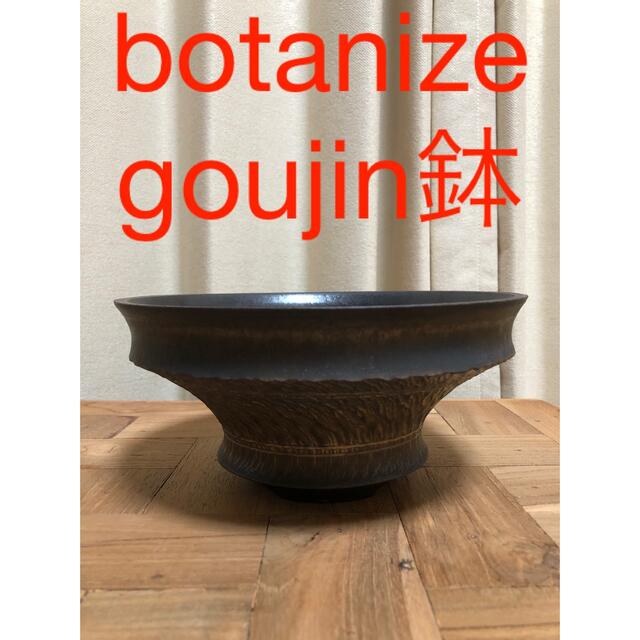 1LDK SELECT(ワンエルディーケーセレクト)のbotanize goujin コラボ鉢 エンタメ/ホビーの美術品/アンティーク(陶芸)の商品写真