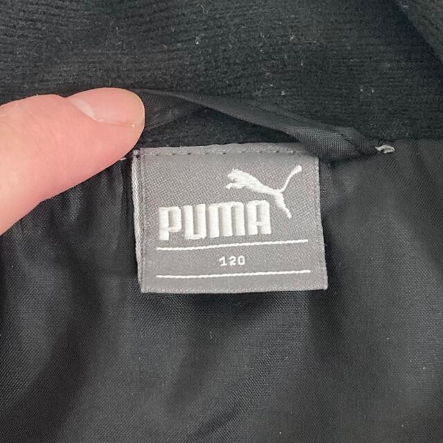 PUMA(プーマ)のPUMA 中綿ジャケット 120cm キッズ/ベビー/マタニティのキッズ服男の子用(90cm~)(ジャケット/上着)の商品写真