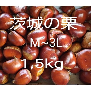 茨城の栗　M~3Lサイズ　無農薬栽培　常温発送(フルーツ)