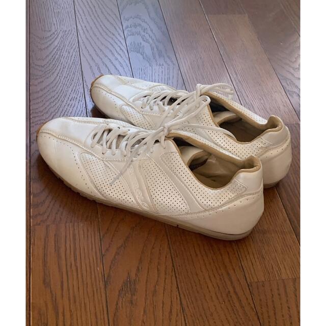 ビモロシューズ　マイクロファイバー×パンチング メンズの靴/シューズ(スニーカー)の商品写真