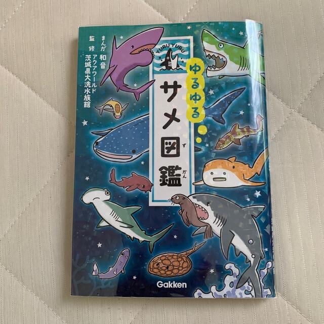 ゆるゆるサメ図鑑 エンタメ/ホビーの本(絵本/児童書)の商品写真