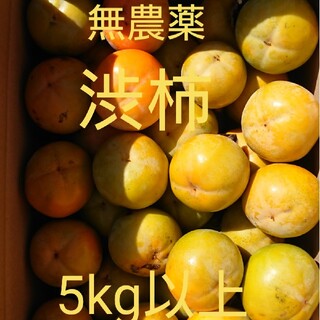 無農薬 渋柿 80サイズ箱いっぱい 5kg以上(フルーツ)
