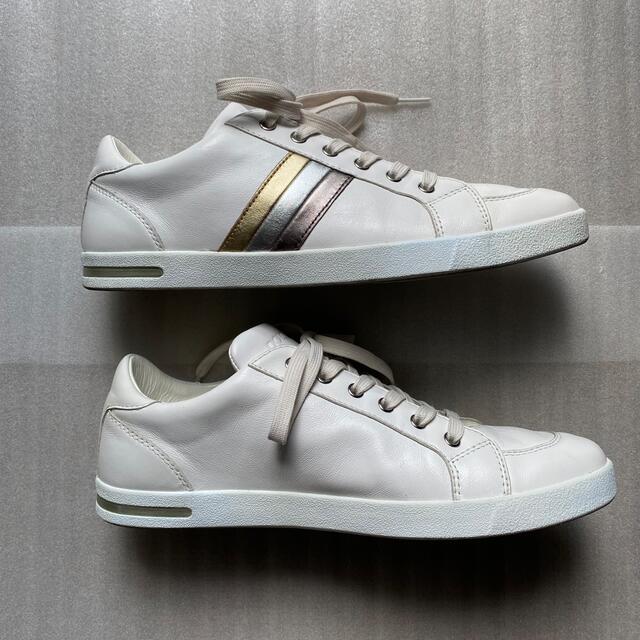 DOLCE&GABBANA 牛革スニーカー - www.glycoala.com