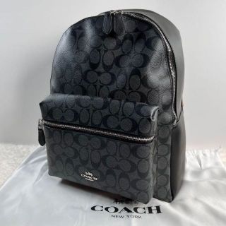 コーチ(COACH)の✨新品未使用✨ COACH コーチ　リュックサック　ラグジュアリー　シグネチャー(リュック/バックパック)