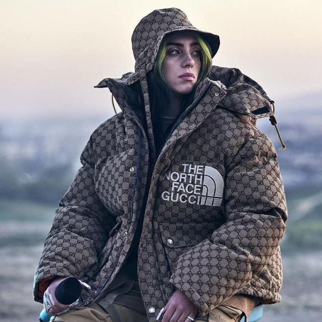 THE NORTH FACE x GUCCI アノラック ジャケット ジャケット/アウター