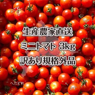 ミニトマト 3kg ★ 北海道産 規格外品(野菜)