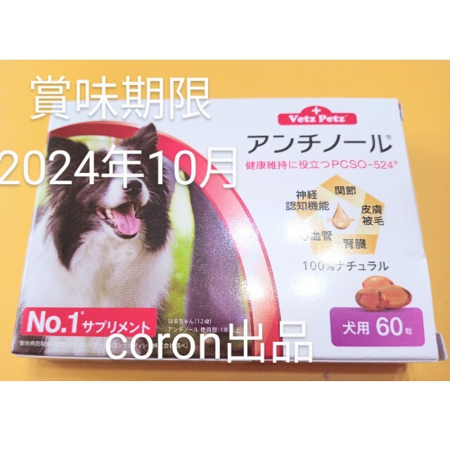 アンチノール　６０粒1箱 その他のペット用品(犬)の商品写真