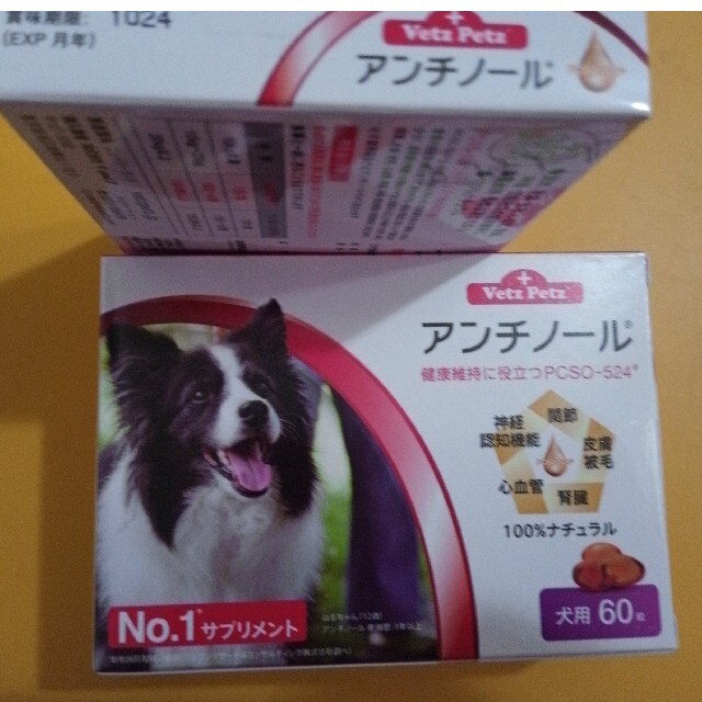 アンチノール　６０粒1箱 その他のペット用品(犬)の商品写真