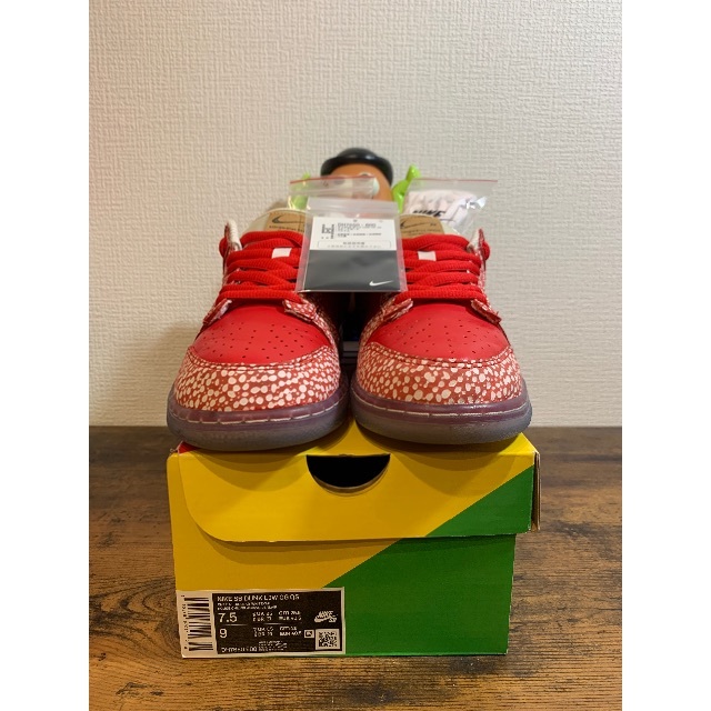 NIKE(ナイキ)のNike SB Dunk Low Stingwater メンズの靴/シューズ(スニーカー)の商品写真