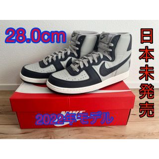 ナイキ(NIKE)のNike Terminator High Georgetown 2022(スニーカー)