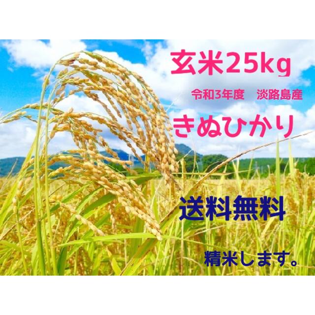 大幅値下　お米25kg 淡路島の農家が作った自慢のお米　送料無料　玄米25kg