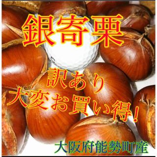 銀寄栗(野菜)