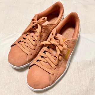 プーマ(PUMA)のPUMA SOFTFOAM comfot insert(スニーカー)