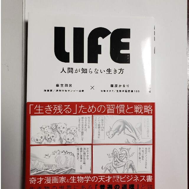 ＬＩＦＥ 人間が知らない生き方 エンタメ/ホビーの本(その他)の商品写真