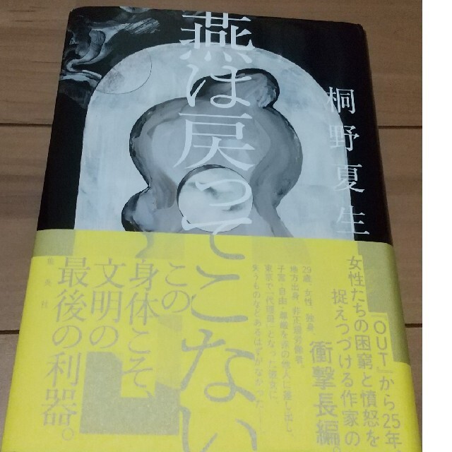 燕は戻ってこない エンタメ/ホビーの本(文学/小説)の商品写真