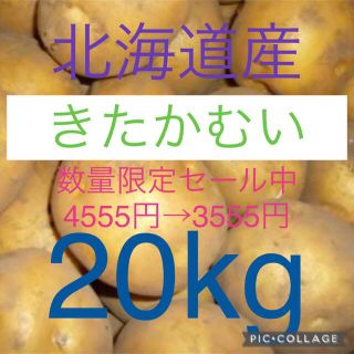 北海道産じゃがいも　新じゃがきたかむい20kg(野菜)