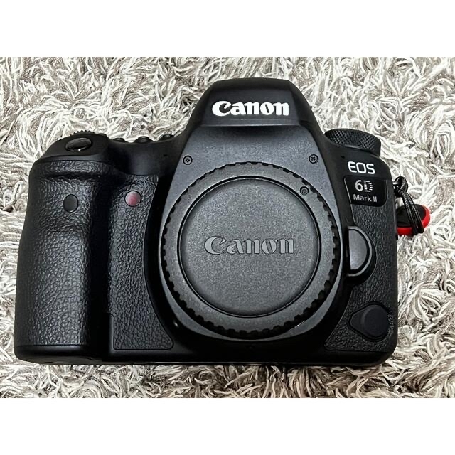 Canon EOS 6D mark II ボディ //シャッター数約13,000