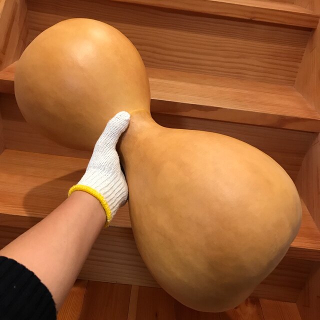 イプヘケ ナチュラルカラー スピード発送 kinetiquettes.com