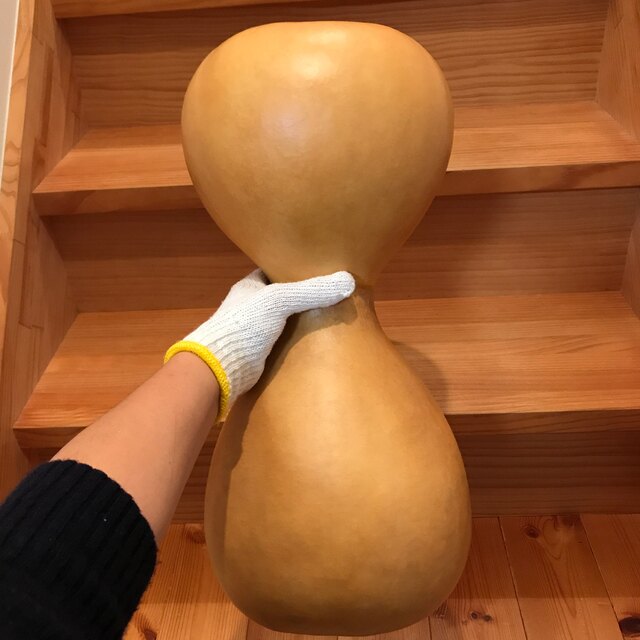 イプヘケ ナチュラルカラー スピード発送 kinetiquettes.com