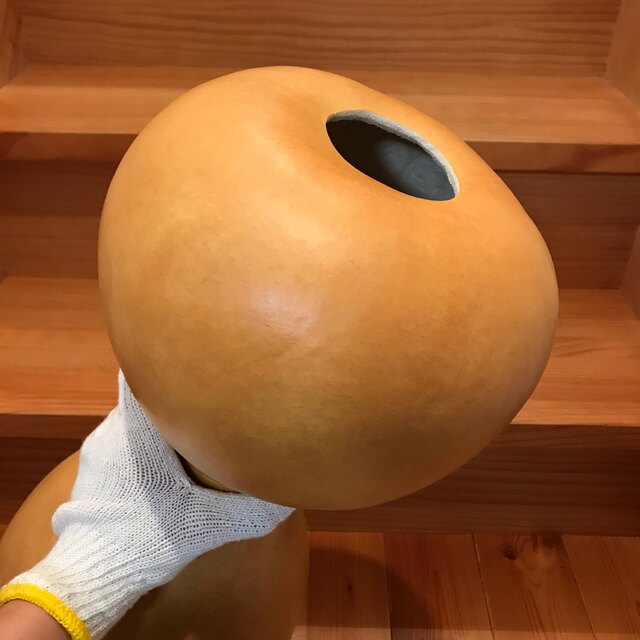 イプヘケ ナチュラルカラー | www.eintauto.com