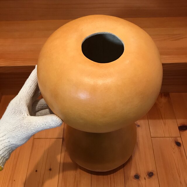 イプヘケ ナチュラルカラー スピード発送 kinetiquettes.com
